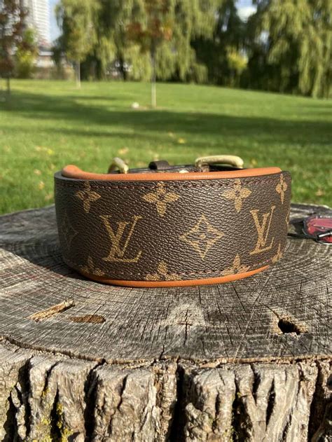 louis vuitton dog coat|louis vuitton dog collar large.